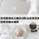 山东青岛新增本土确诊2例/山东青岛出现1例新型肺炎确诊病例
